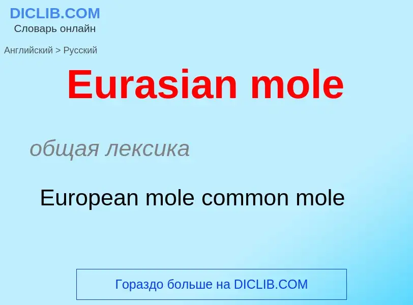 ¿Cómo se dice Eurasian mole en Ruso? Traducción de &#39Eurasian mole&#39 al Ruso