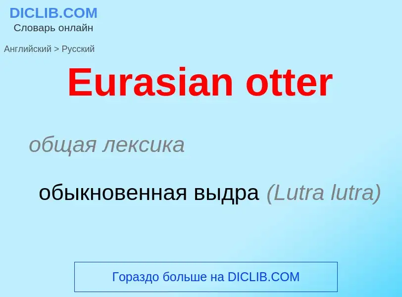 ¿Cómo se dice Eurasian otter en Ruso? Traducción de &#39Eurasian otter&#39 al Ruso