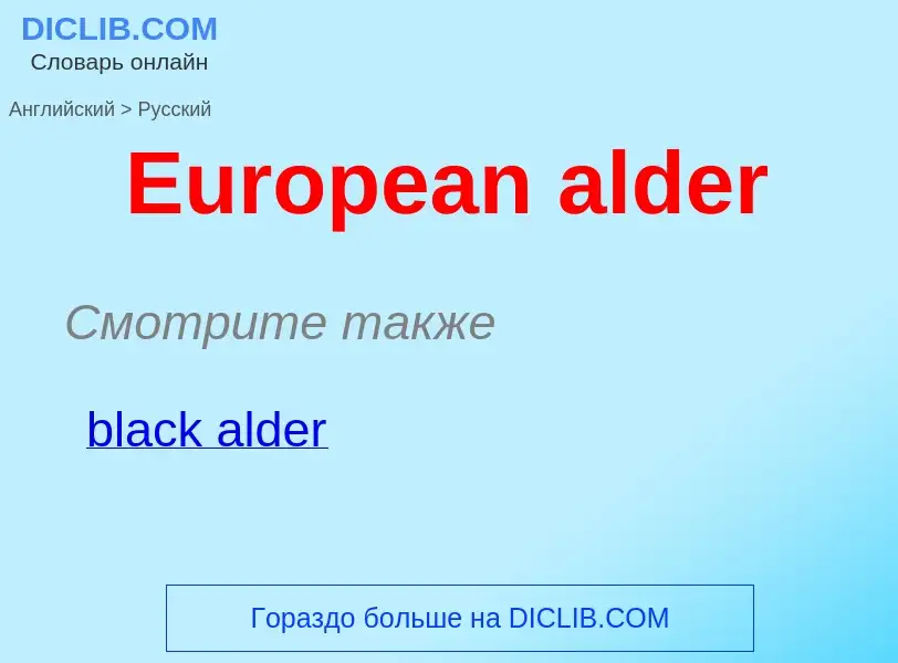 ¿Cómo se dice European alder en Ruso? Traducción de &#39European alder&#39 al Ruso