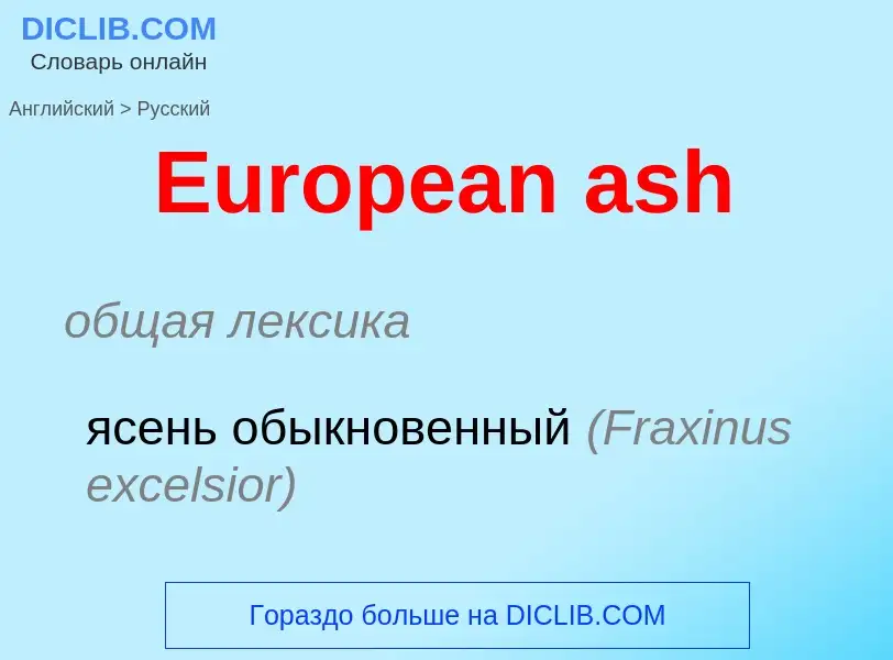 ¿Cómo se dice European ash en Ruso? Traducción de &#39European ash&#39 al Ruso