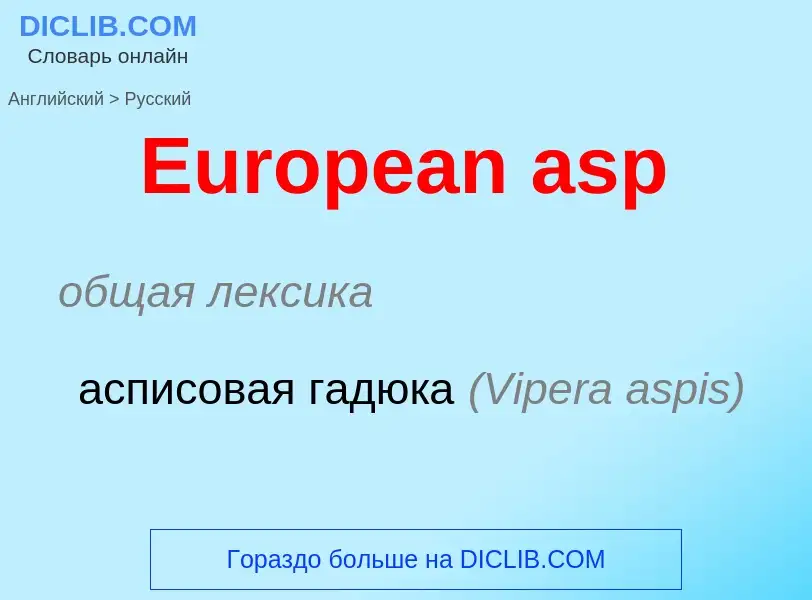 ¿Cómo se dice European asp en Ruso? Traducción de &#39European asp&#39 al Ruso