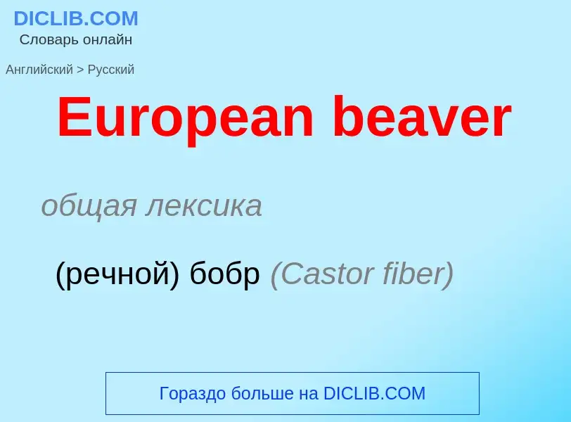 ¿Cómo se dice European beaver en Ruso? Traducción de &#39European beaver&#39 al Ruso