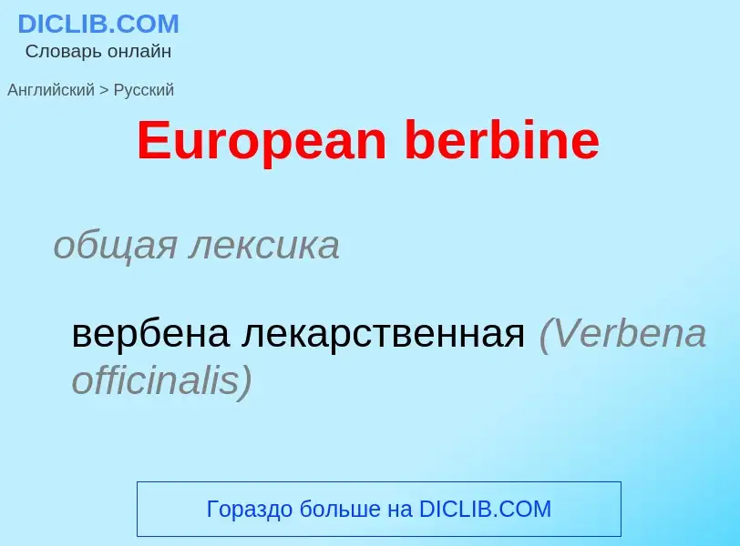 ¿Cómo se dice European berbine en Ruso? Traducción de &#39European berbine&#39 al Ruso