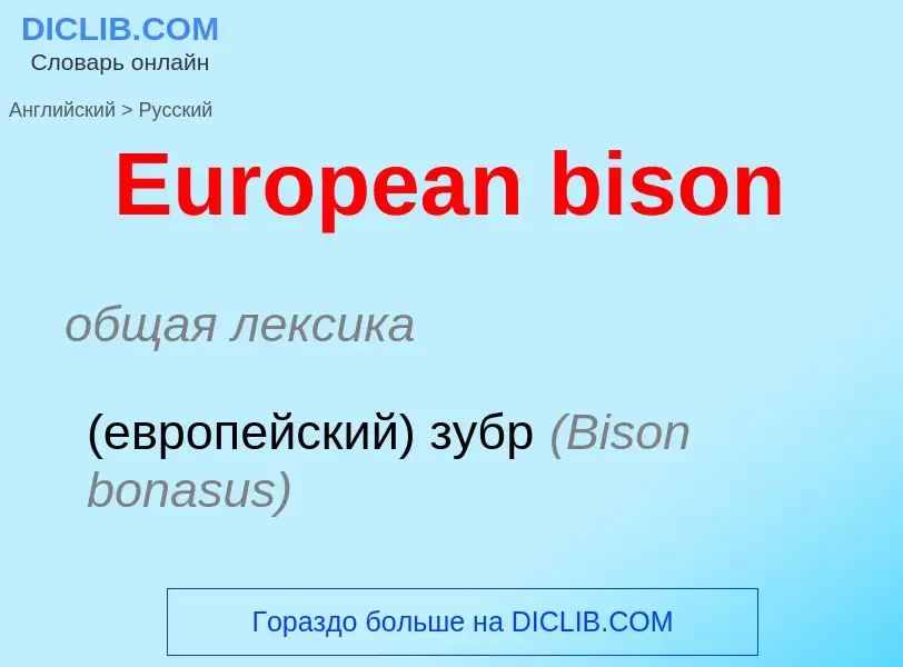 ¿Cómo se dice European bison en Ruso? Traducción de &#39European bison&#39 al Ruso