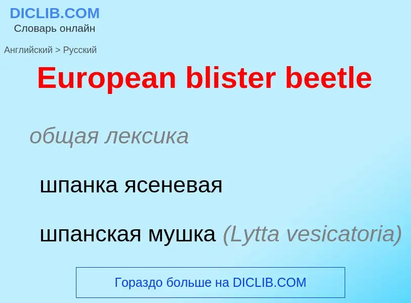 ¿Cómo se dice European blister beetle en Ruso? Traducción de &#39European blister beetle&#39 al Ruso