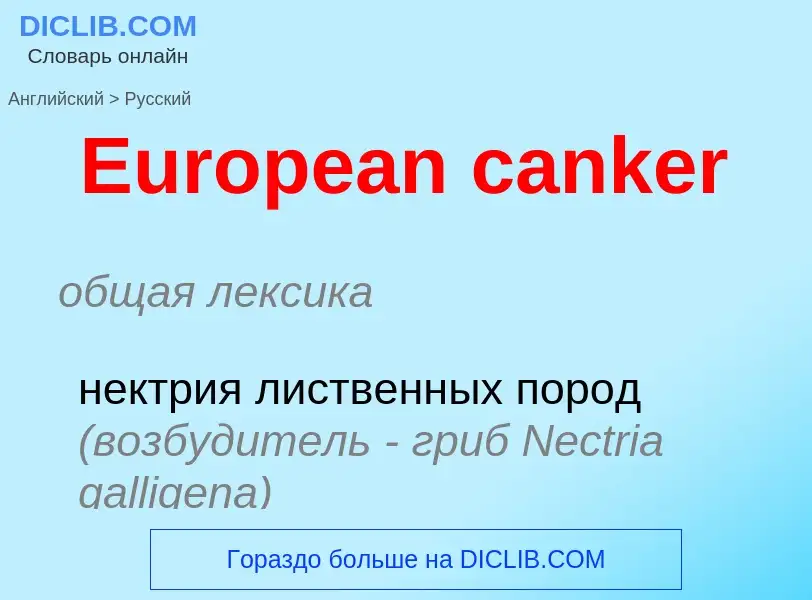 ¿Cómo se dice European canker en Ruso? Traducción de &#39European canker&#39 al Ruso