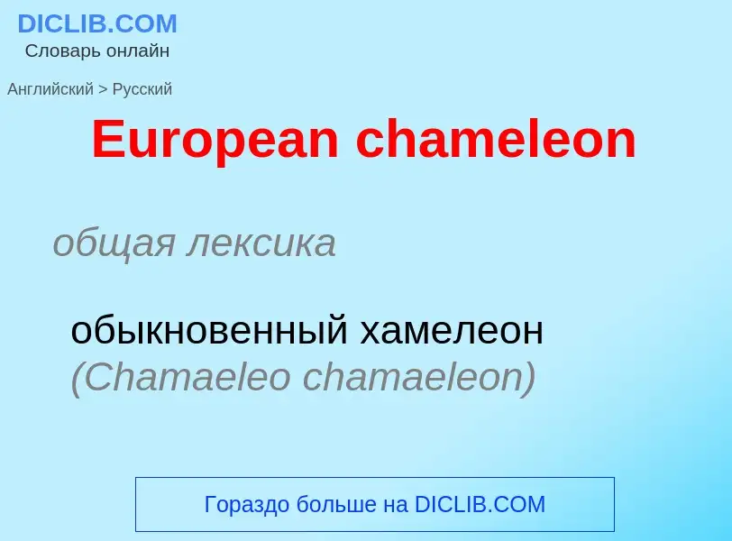 ¿Cómo se dice European chameleon en Ruso? Traducción de &#39European chameleon&#39 al Ruso