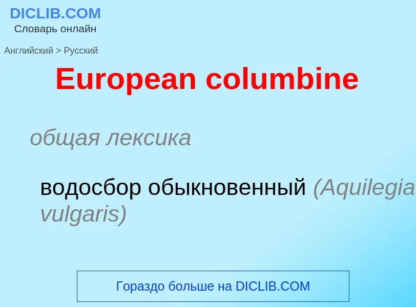 ¿Cómo se dice European columbine en Ruso? Traducción de &#39European columbine&#39 al Ruso