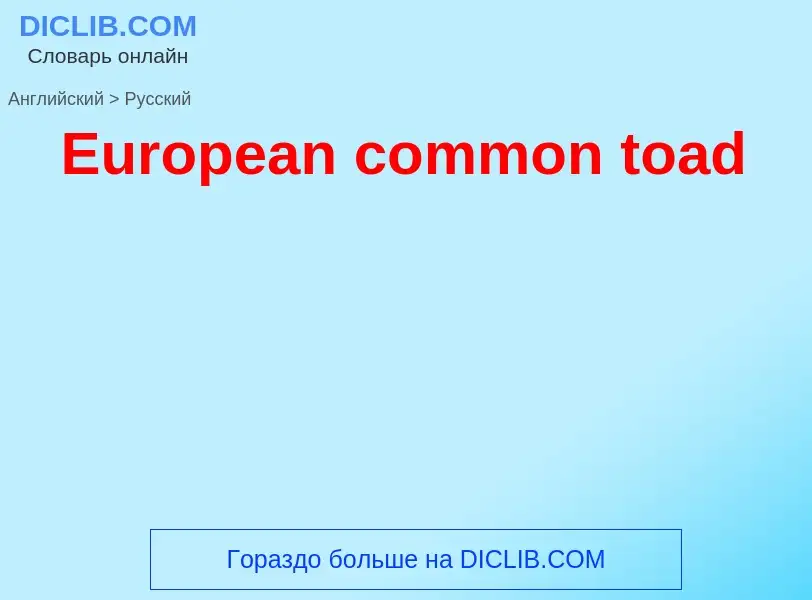 ¿Cómo se dice European common toad en Ruso? Traducción de &#39European common toad&#39 al Ruso