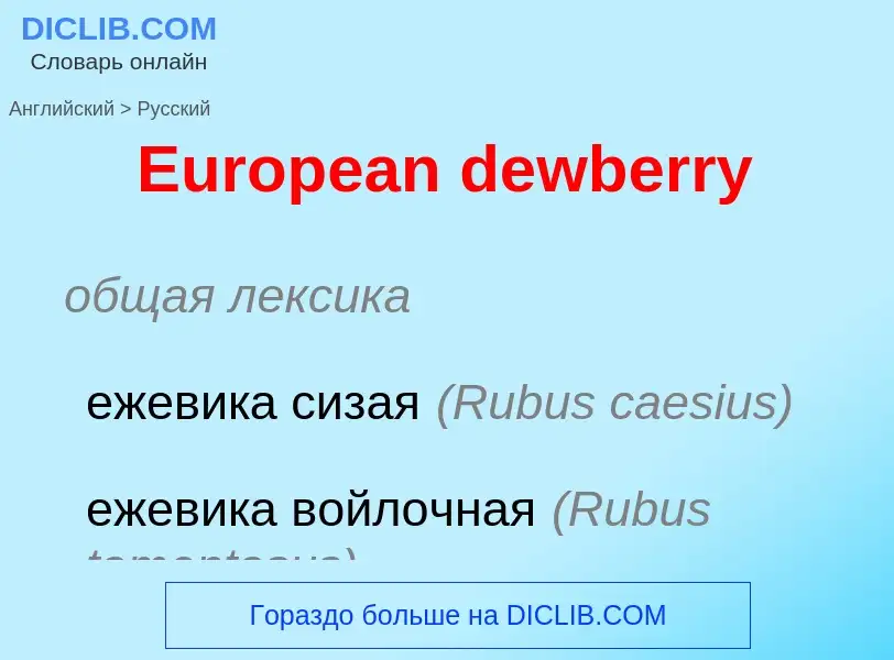 ¿Cómo se dice European dewberry en Ruso? Traducción de &#39European dewberry&#39 al Ruso