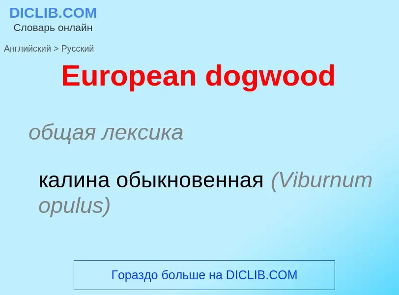 ¿Cómo se dice European dogwood en Ruso? Traducción de &#39European dogwood&#39 al Ruso