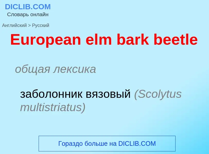 ¿Cómo se dice European elm bark beetle en Ruso? Traducción de &#39European elm bark beetle&#39 al Ru