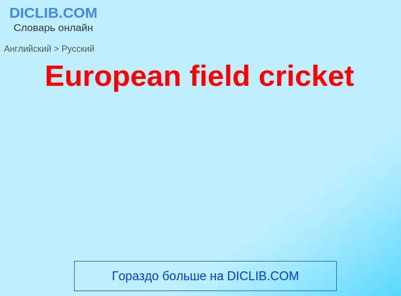 ¿Cómo se dice European field cricket en Ruso? Traducción de &#39European field cricket&#39 al Ruso