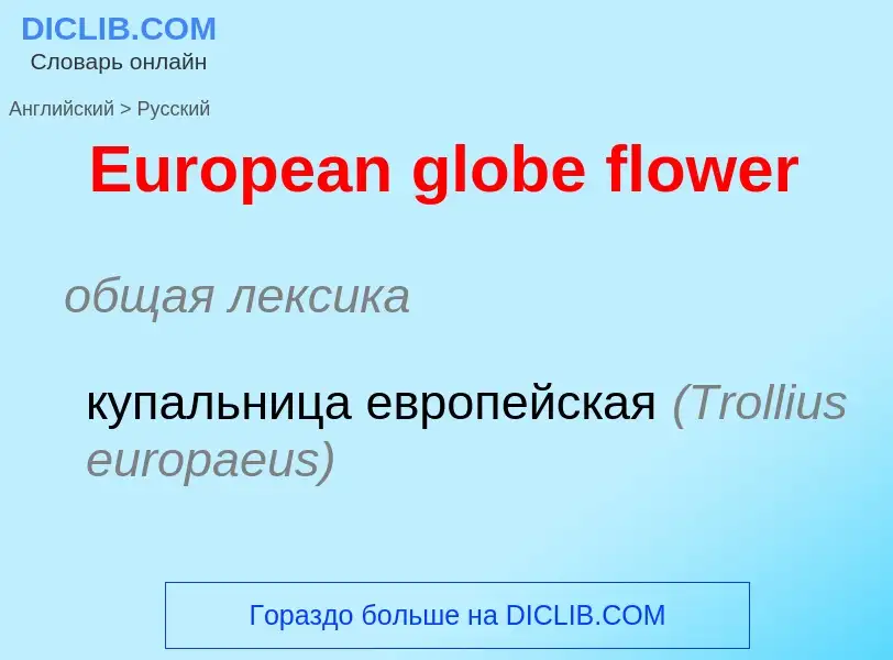 ¿Cómo se dice European globe flower en Ruso? Traducción de &#39European globe flower&#39 al Ruso