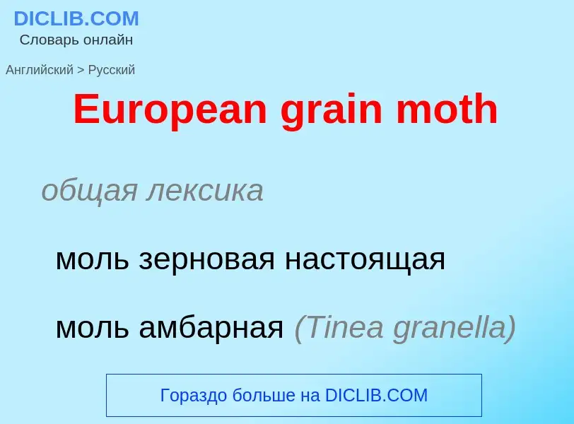 ¿Cómo se dice European grain moth en Ruso? Traducción de &#39European grain moth&#39 al Ruso