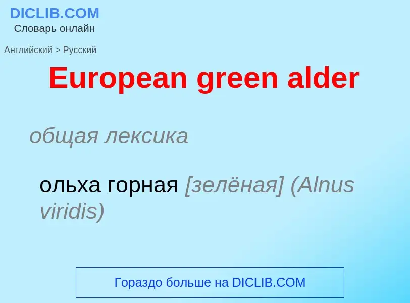 ¿Cómo se dice European green alder en Ruso? Traducción de &#39European green alder&#39 al Ruso