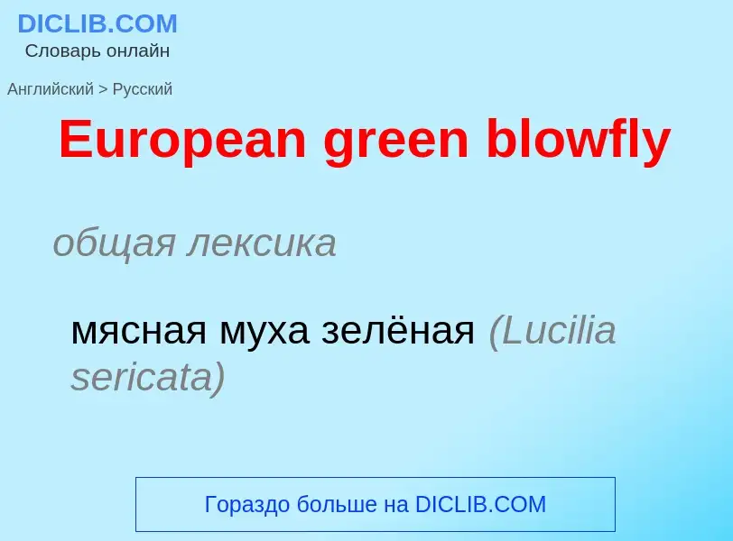 ¿Cómo se dice European green blowfly en Ruso? Traducción de &#39European green blowfly&#39 al Ruso