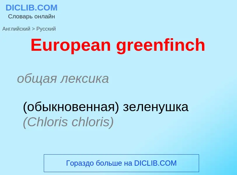 ¿Cómo se dice European greenfinch en Ruso? Traducción de &#39European greenfinch&#39 al Ruso