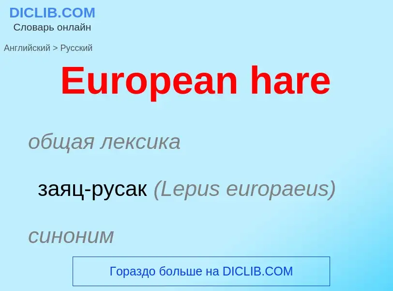 ¿Cómo se dice European hare en Ruso? Traducción de &#39European hare&#39 al Ruso