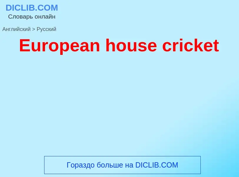 ¿Cómo se dice European house cricket en Ruso? Traducción de &#39European house cricket&#39 al Ruso