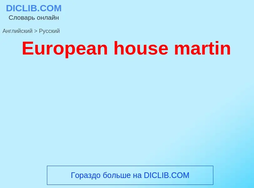 Как переводится European house martin на Русский язык