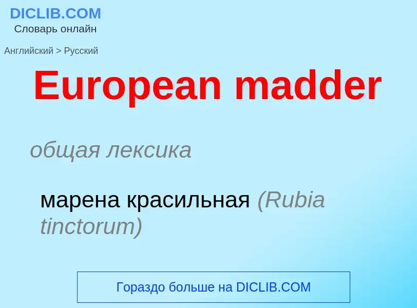 ¿Cómo se dice European madder en Ruso? Traducción de &#39European madder&#39 al Ruso