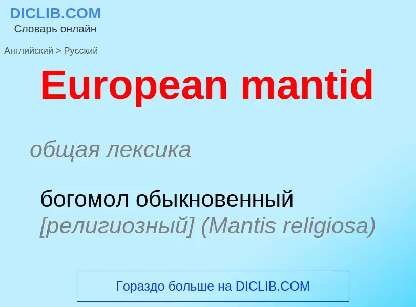 ¿Cómo se dice European mantid en Ruso? Traducción de &#39European mantid&#39 al Ruso