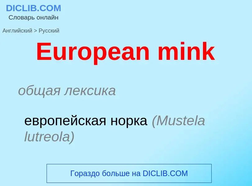 ¿Cómo se dice European mink en Ruso? Traducción de &#39European mink&#39 al Ruso