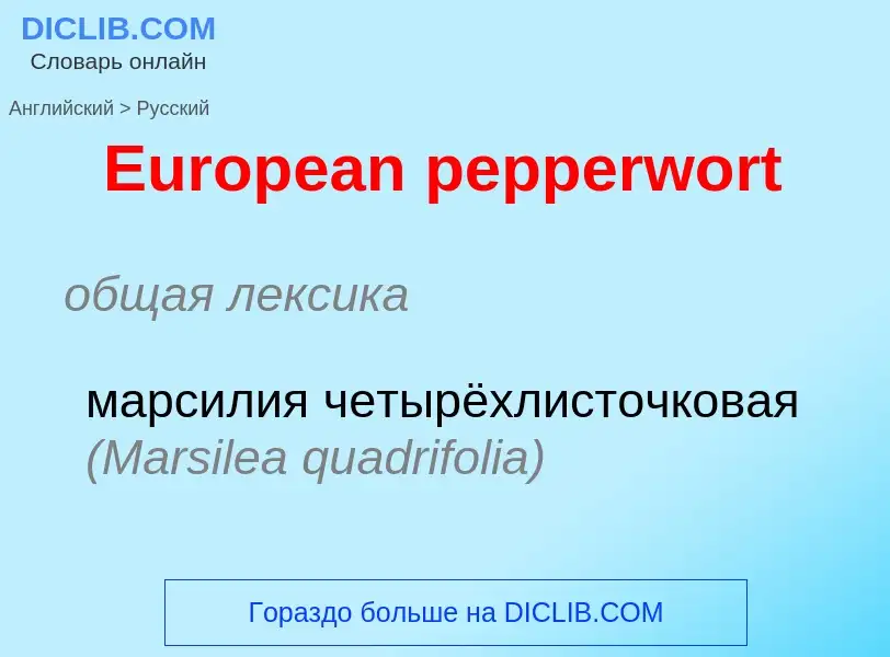 ¿Cómo se dice European pepperwort en Ruso? Traducción de &#39European pepperwort&#39 al Ruso