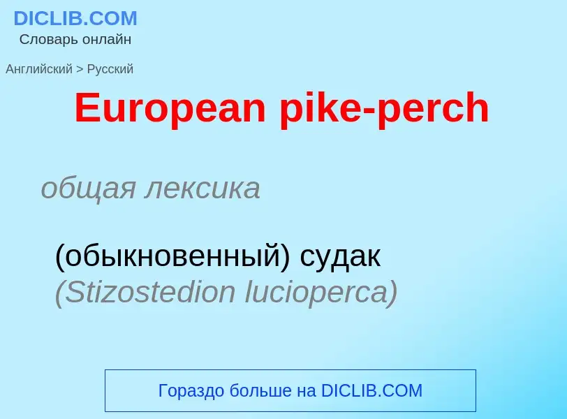 ¿Cómo se dice European pike-perch en Ruso? Traducción de &#39European pike-perch&#39 al Ruso