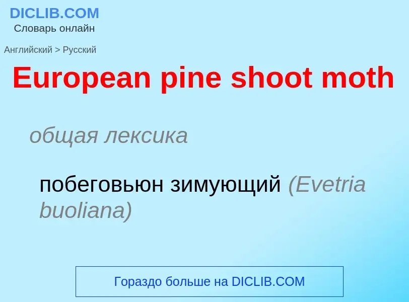 ¿Cómo se dice European pine shoot moth en Ruso? Traducción de &#39European pine shoot moth&#39 al Ru