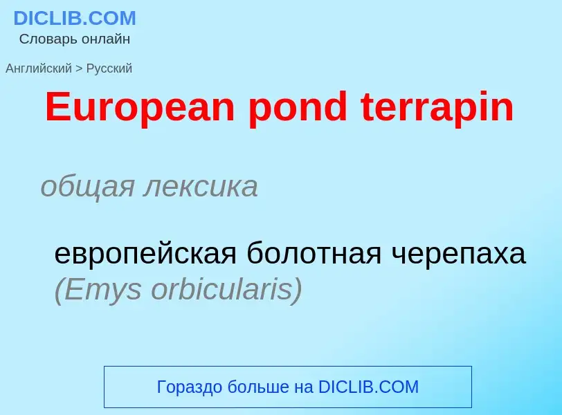 ¿Cómo se dice European pond terrapin en Ruso? Traducción de &#39European pond terrapin&#39 al Ruso