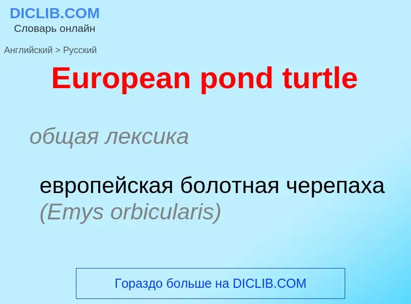 ¿Cómo se dice European pond turtle en Ruso? Traducción de &#39European pond turtle&#39 al Ruso