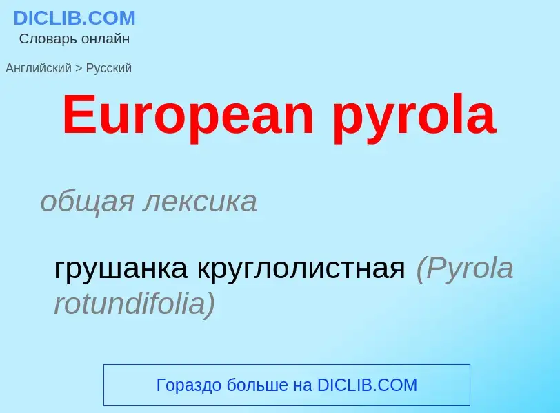 Как переводится European pyrola на Русский язык