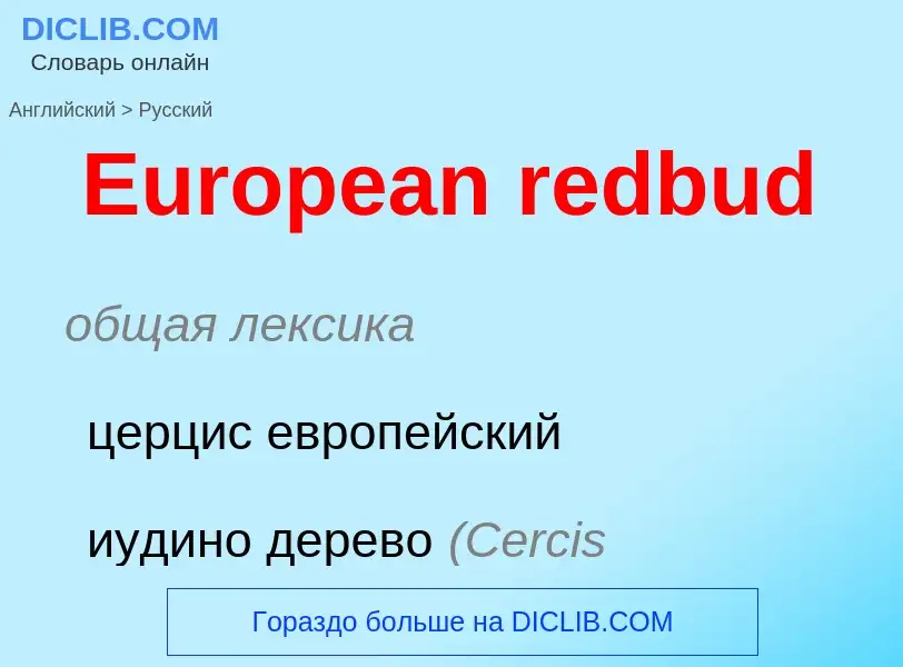 ¿Cómo se dice European redbud en Ruso? Traducción de &#39European redbud&#39 al Ruso