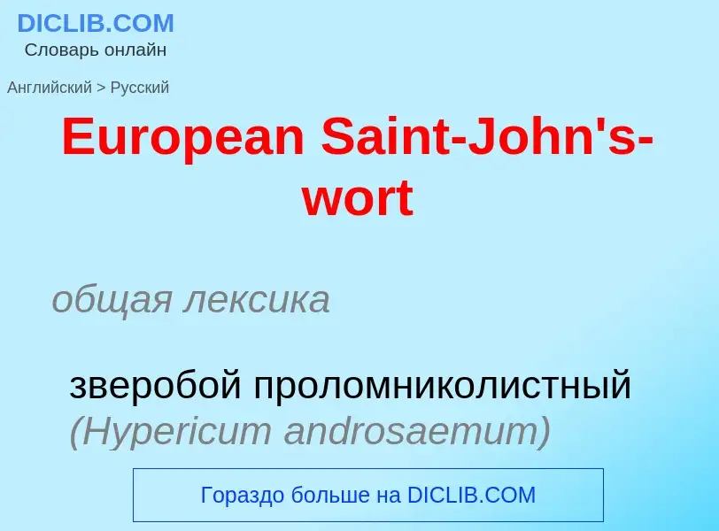 ¿Cómo se dice European Saint-John's-wort en Ruso? Traducción de &#39European Saint-John's-wort&#39 a