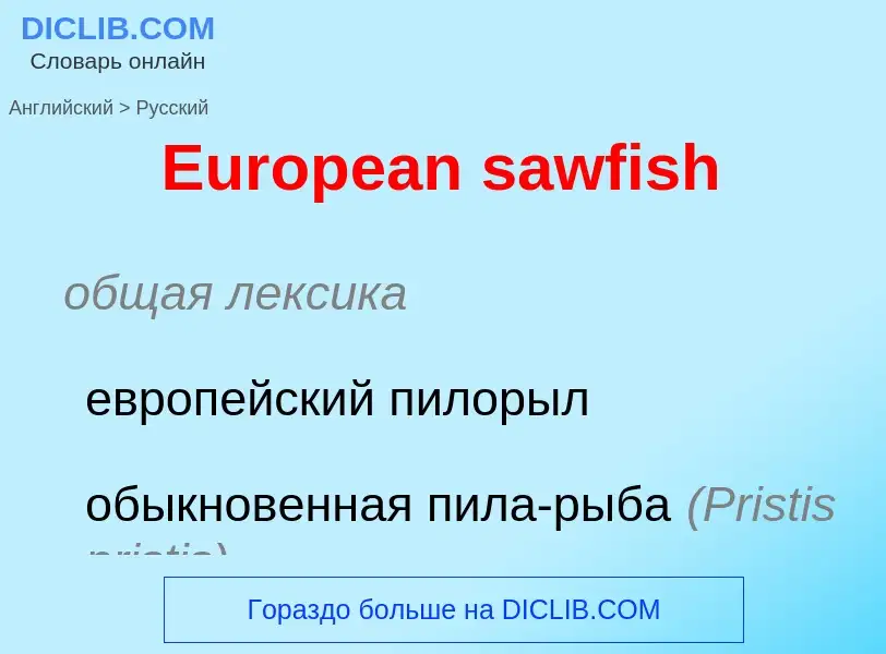 ¿Cómo se dice European sawfish en Ruso? Traducción de &#39European sawfish&#39 al Ruso