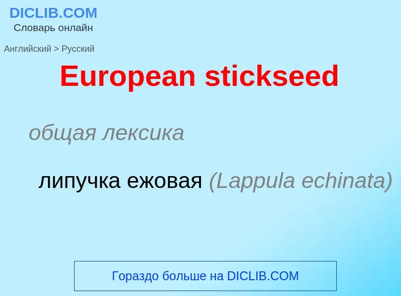 ¿Cómo se dice European stickseed en Ruso? Traducción de &#39European stickseed&#39 al Ruso