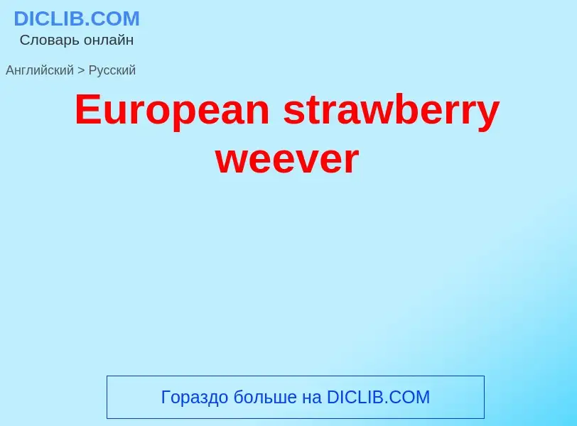 ¿Cómo se dice European strawberry weever en Ruso? Traducción de &#39European strawberry weever&#39 a