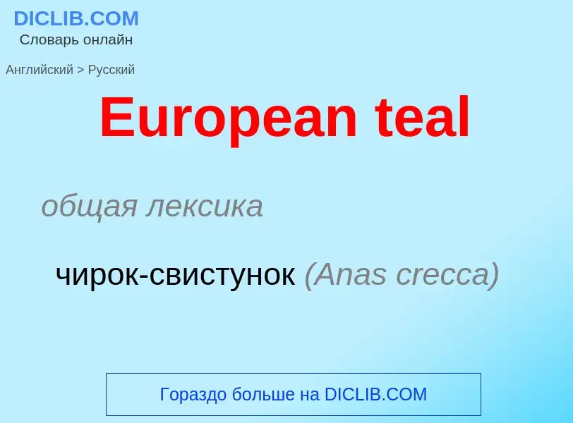 ¿Cómo se dice European teal en Ruso? Traducción de &#39European teal&#39 al Ruso