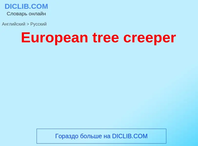 Übersetzung von &#39European tree creeper&#39 in Russisch