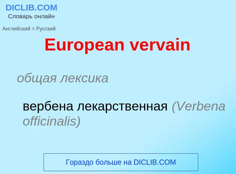 ¿Cómo se dice European vervain en Ruso? Traducción de &#39European vervain&#39 al Ruso