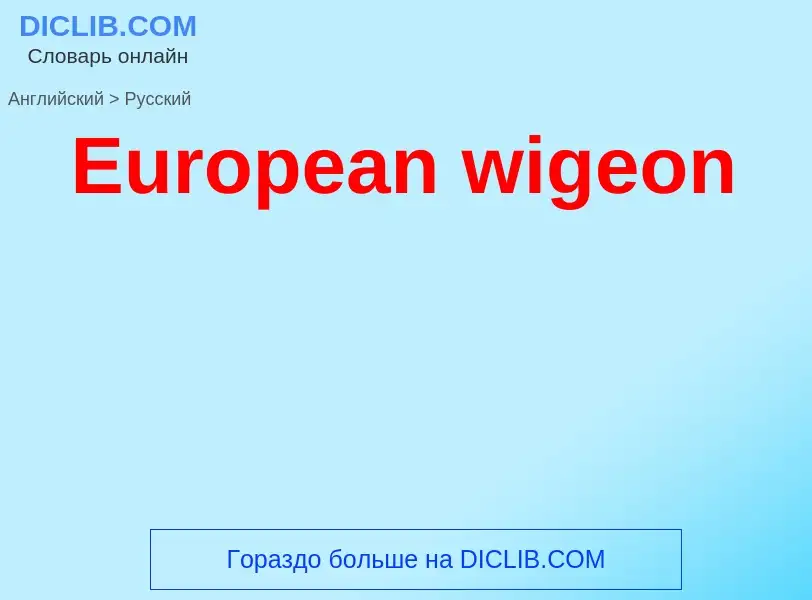 ¿Cómo se dice European wigeon en Ruso? Traducción de &#39European wigeon&#39 al Ruso