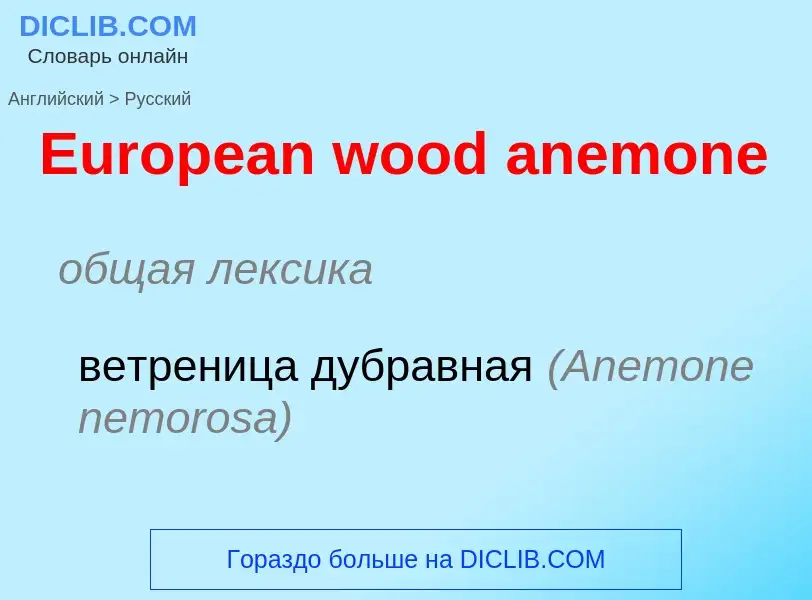 ¿Cómo se dice European wood anemone en Ruso? Traducción de &#39European wood anemone&#39 al Ruso