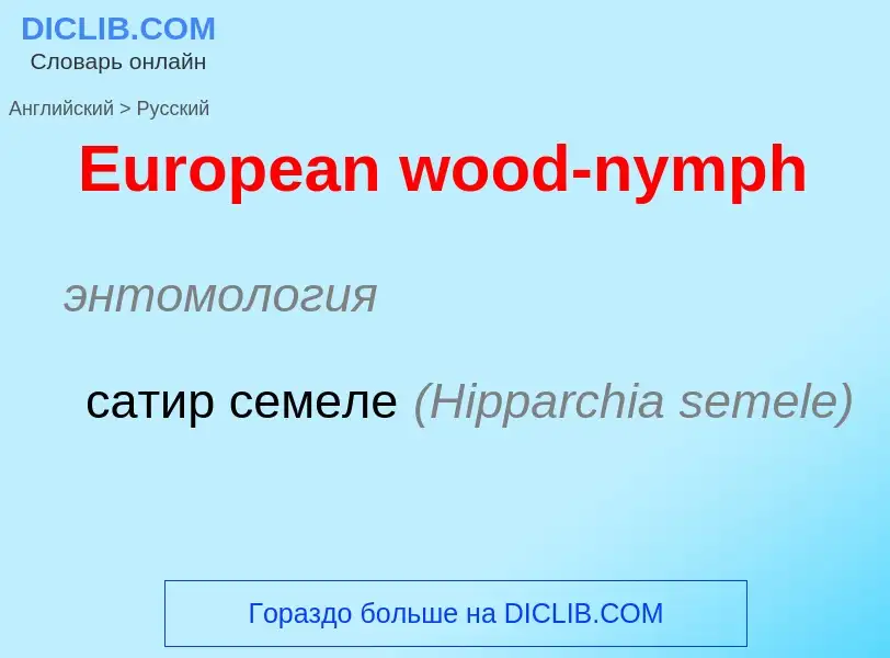 ¿Cómo se dice European wood-nymph en Ruso? Traducción de &#39European wood-nymph&#39 al Ruso