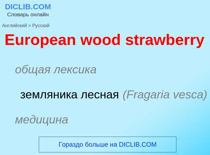 Как переводится European wood strawberry на Русский язык