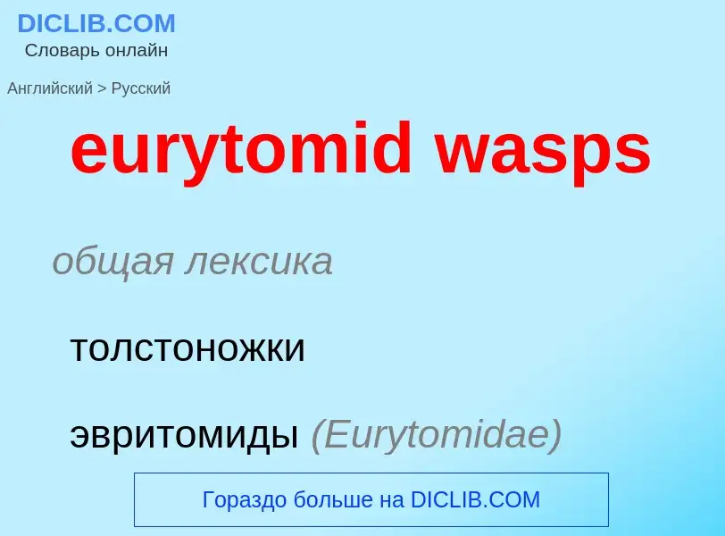 Μετάφραση του &#39eurytomid wasps&#39 σε Ρωσικά