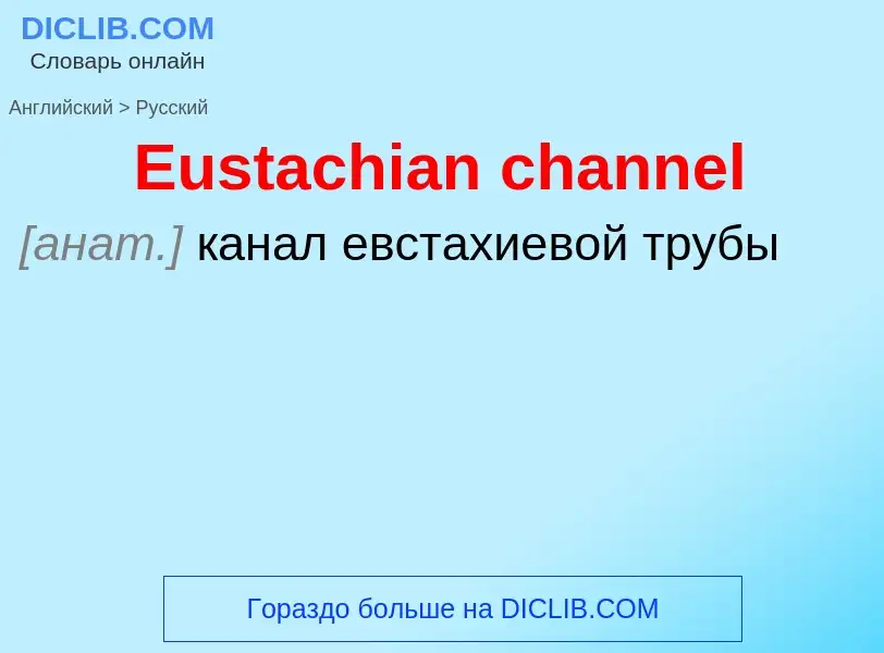 ¿Cómo se dice Eustachian channel en Ruso? Traducción de &#39Eustachian channel&#39 al Ruso