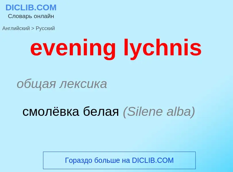 Μετάφραση του &#39evening lychnis&#39 σε Ρωσικά