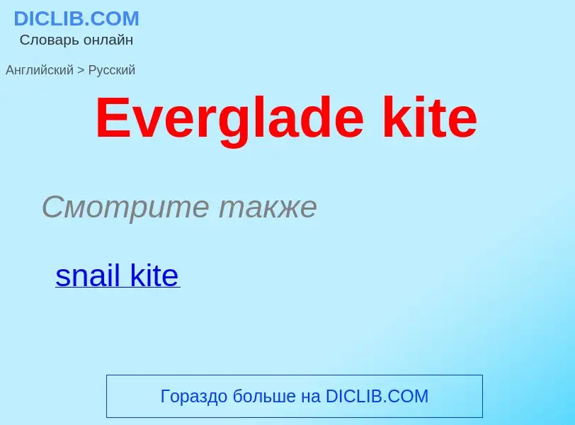 ¿Cómo se dice Everglade kite en Ruso? Traducción de &#39Everglade kite&#39 al Ruso